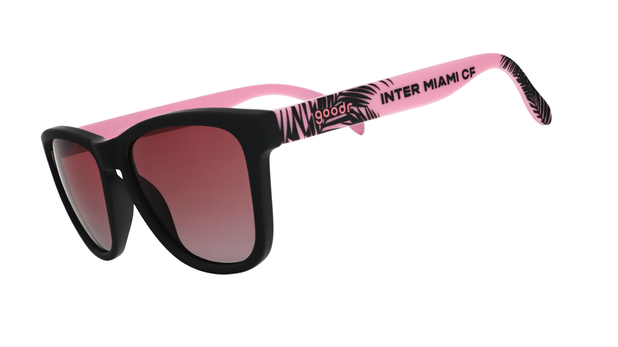 ¡Vamos Miami! - Sunny Day Everyday Eyewear