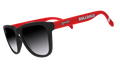 How 'Bout Them Dawgs® - Travel Ready Polarized Sunglasses