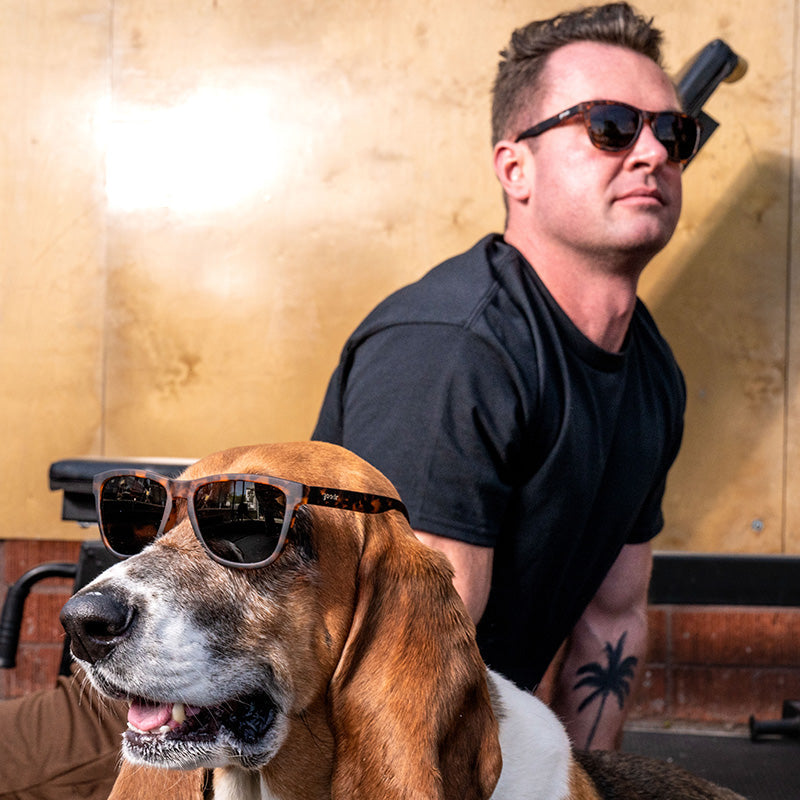 Bosley's Basset Hound Dreams - Beach Ready Sport Sunglasses
