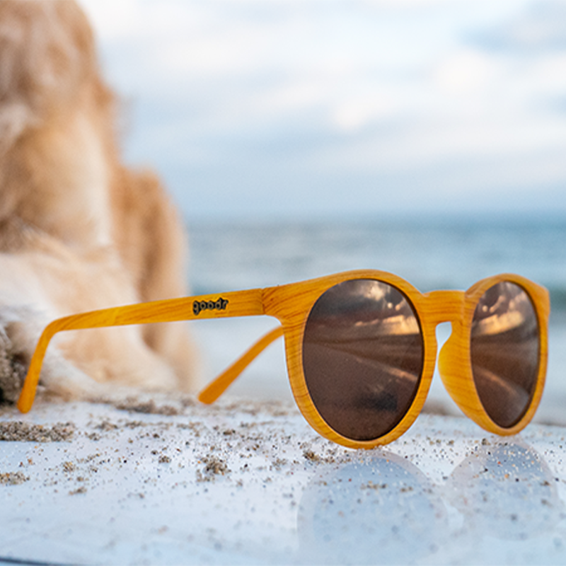 Bodhi's Ultimate Ride - Trail Ready Performance Eyewear