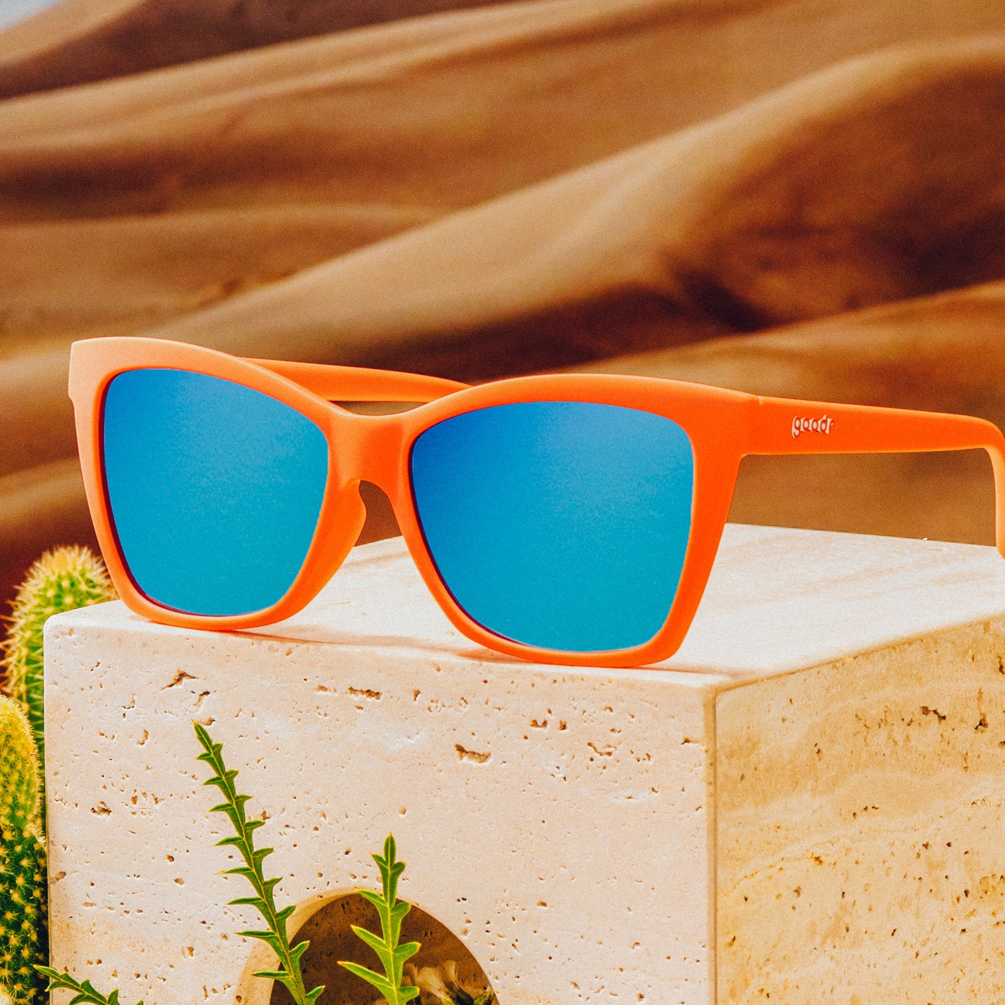 Kisses Canvas, Sells It for Fortune - Fresh Polarized Sunglasses