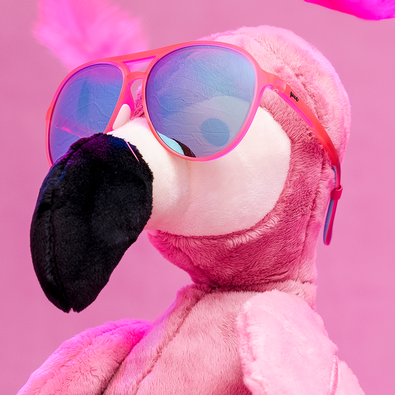Carl Is My Co-Pilot - Colorful Black Frame Sunglasses