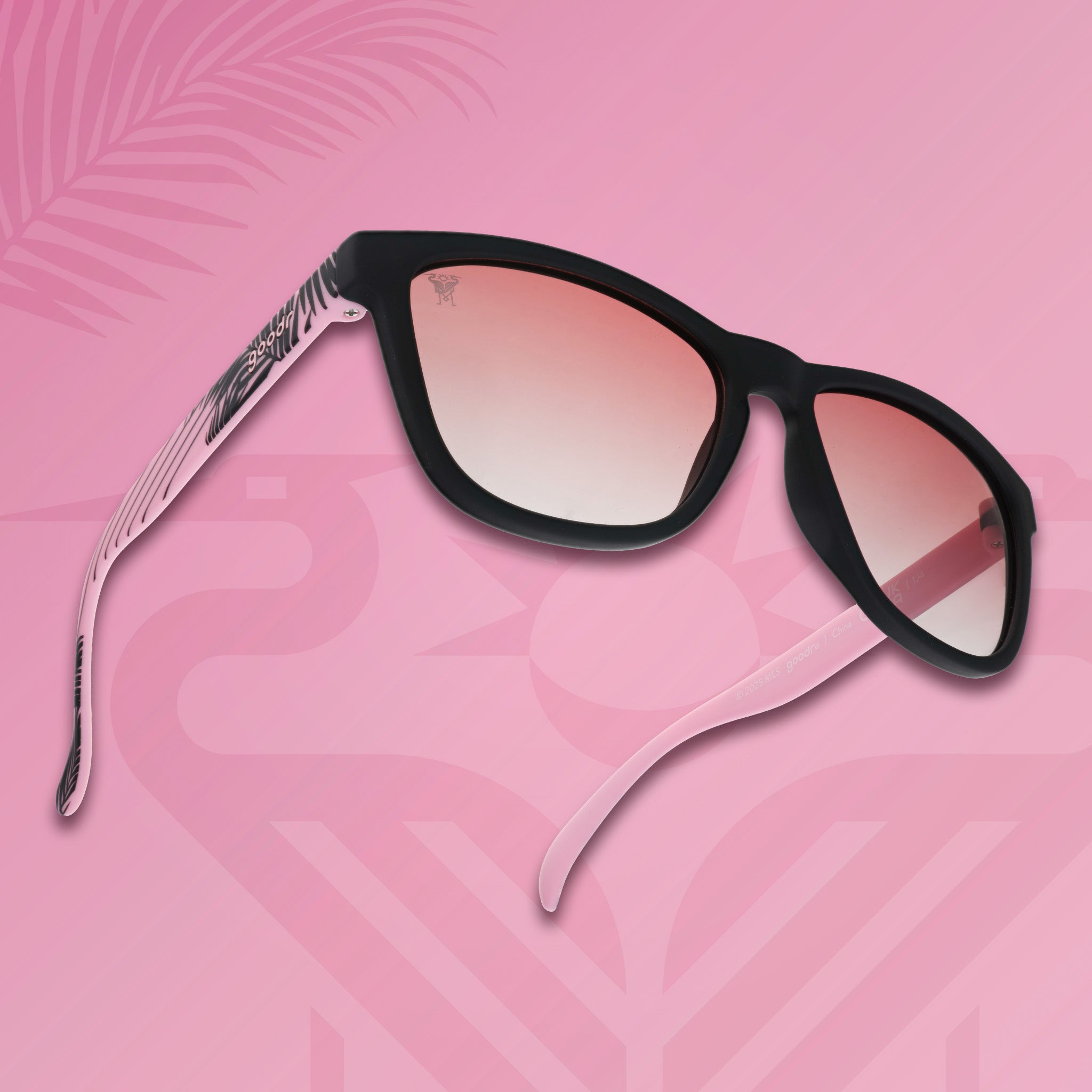 ¡Vamos Miami! - Sunny Day Everyday Eyewear